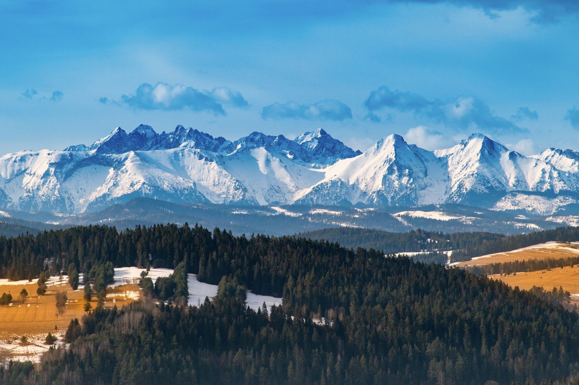 Widok na Tatry i Zakopane